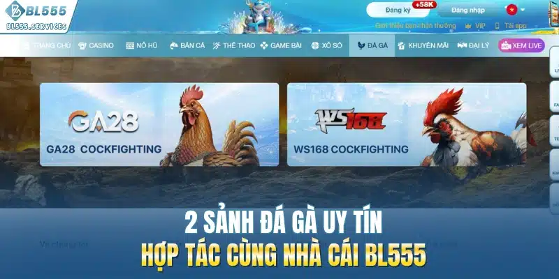 2 sảnh đá gà uy tín hợp tác cùng nhà cái BL555