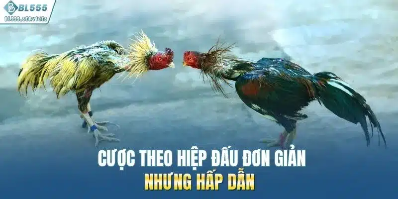 Cược theo hiệp đấu đơn giản nhưng hấp dẫn 