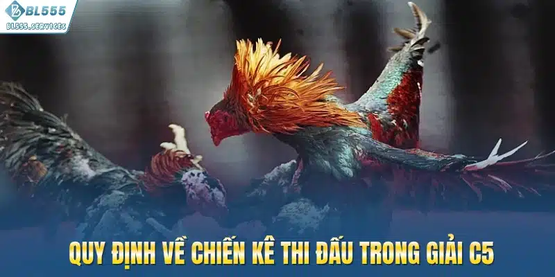Quy định về chiến kê thi đấu giải đá gà C5