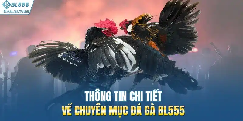 Thông tin chi tiết về chuyên mục đá gà BL555